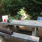 Picture 004